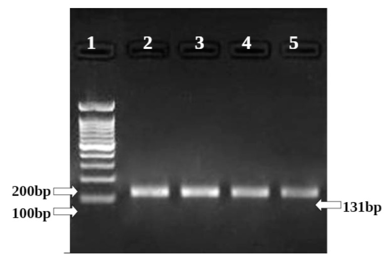 Figure 15