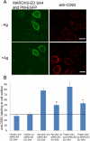 FIGURE 6: