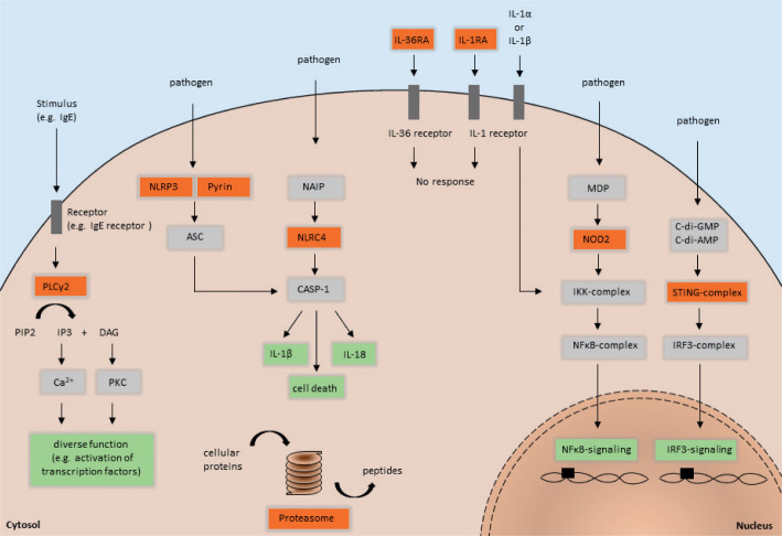 Fig. 1