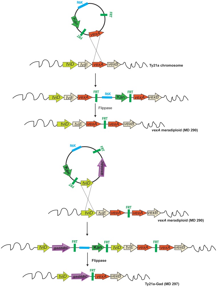 Fig 6