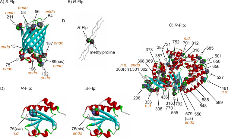 Figure 12