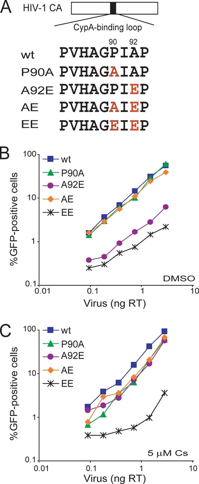 FIG. 1.