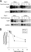 FIG. 10.