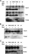 FIG. 7.