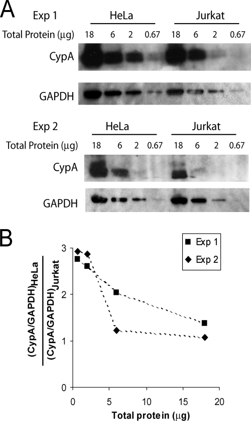 FIG. 10.