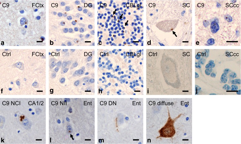 Fig. 7