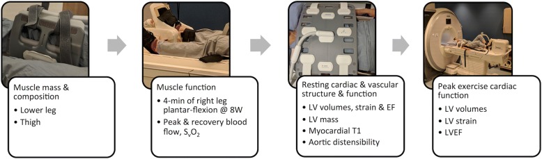 Fig. 3