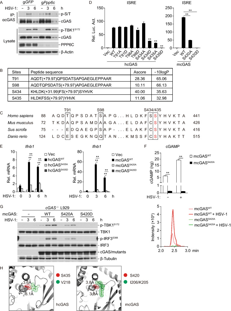 Figure 4