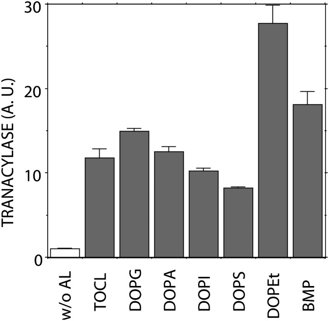 Fig. 1.