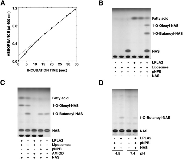 Fig. 4.