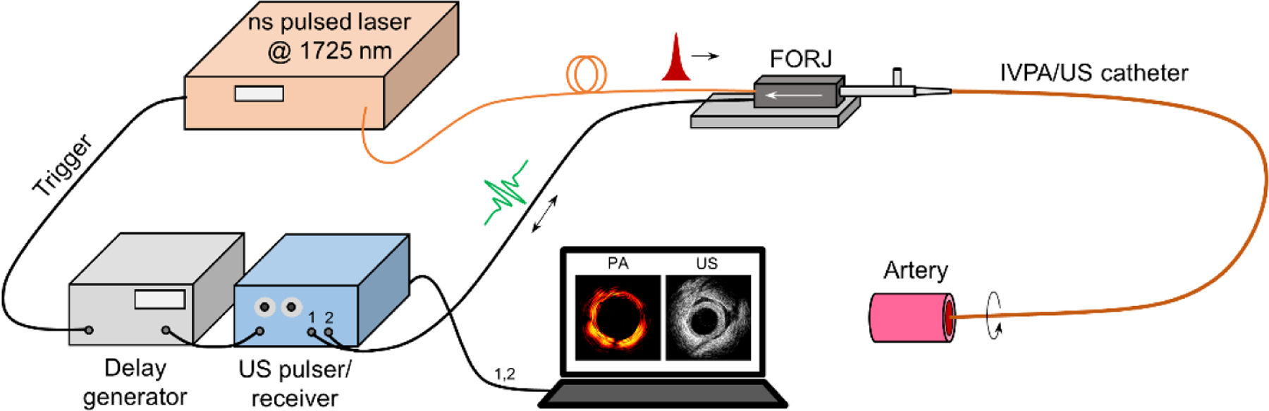 FIGURE 1.