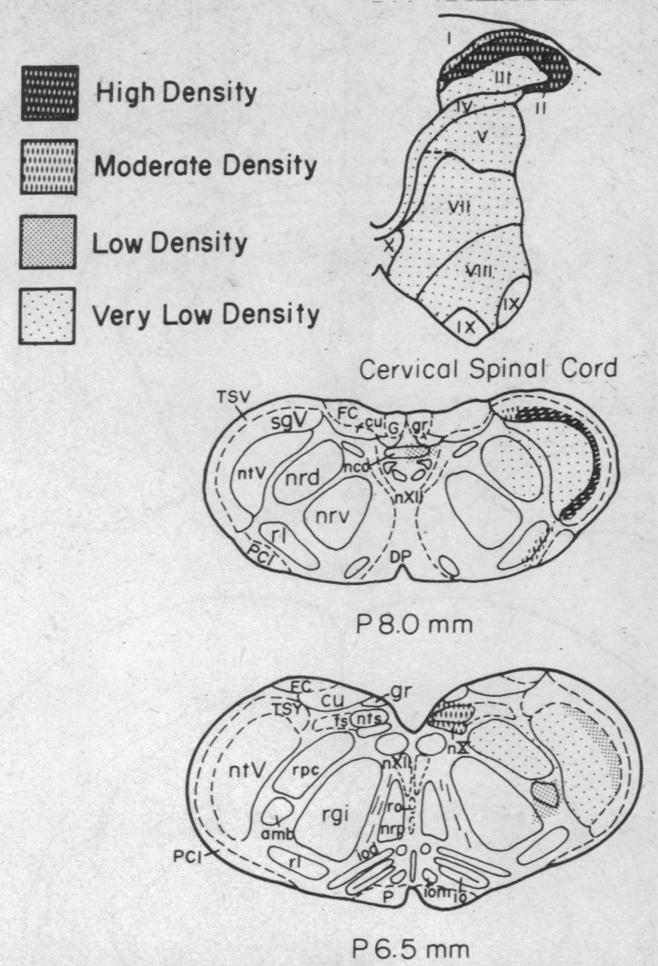 graphic file with name pnas00031-0445-a.jpg