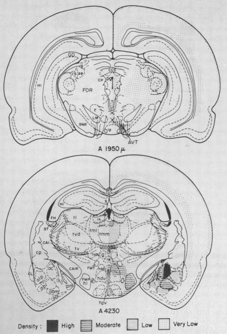 graphic file with name pnas00031-0446-a.jpg