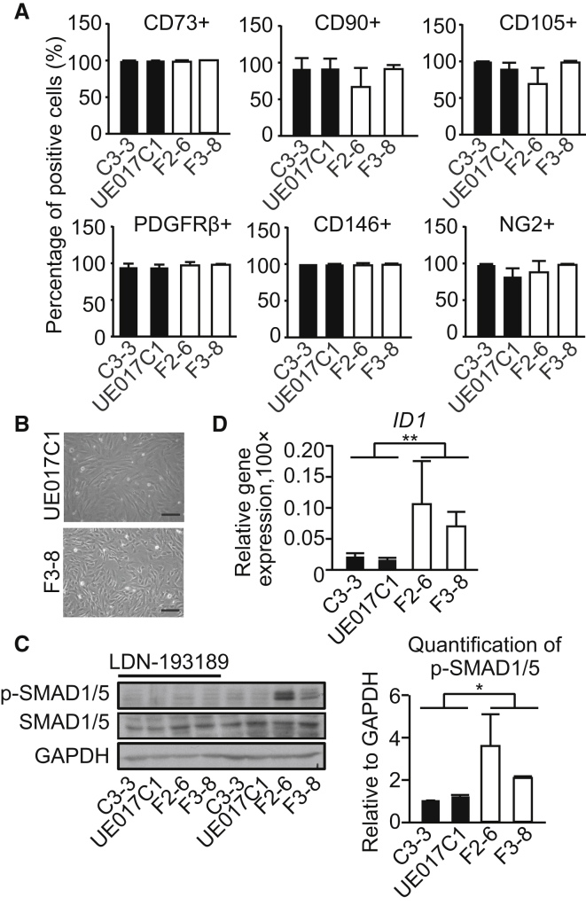 Figure 3