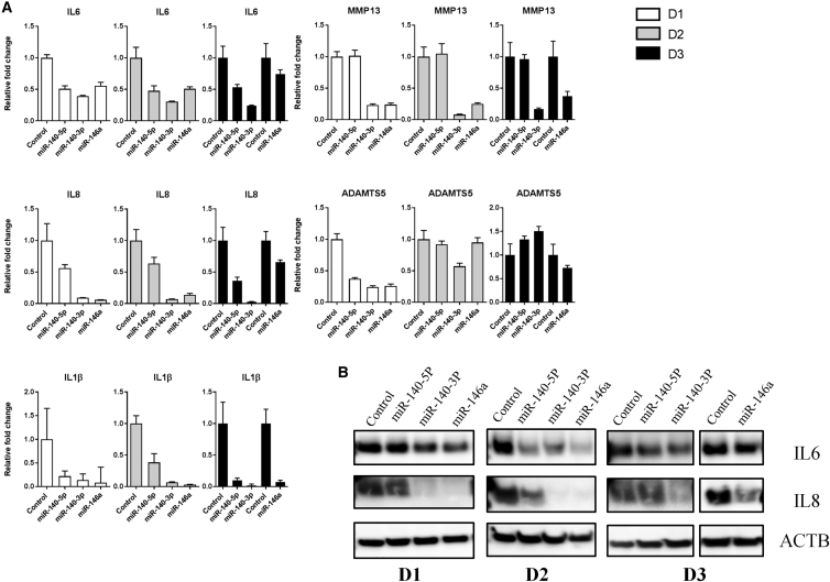 Figure 3