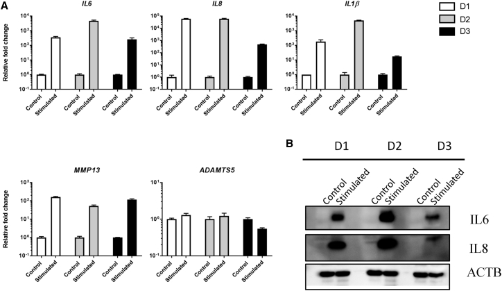 Figure 1