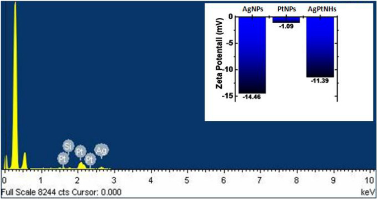 FIGURE 3