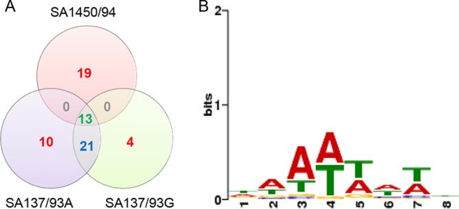 FIG 1