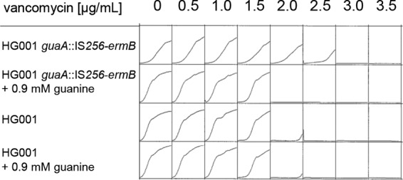 FIG 3