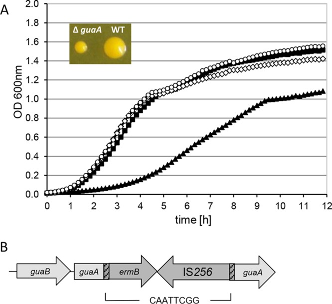 FIG 2