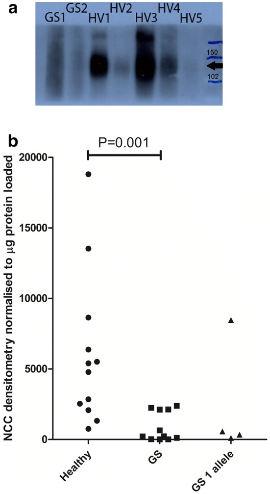 Fig. 1