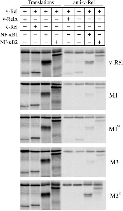 FIG. 3.