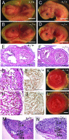 FIG. 9.