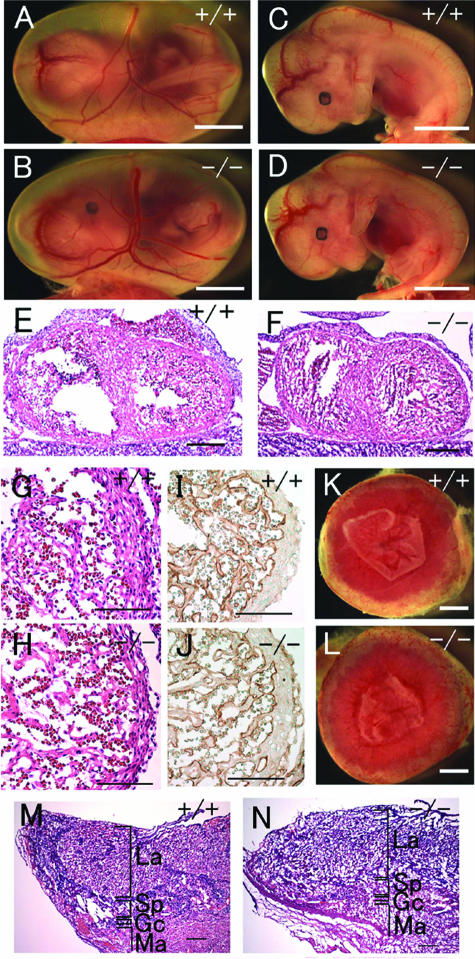 FIG. 9.