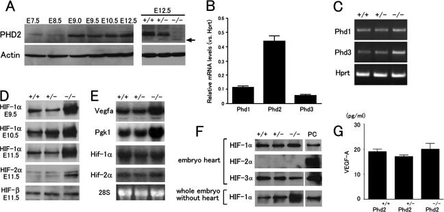 FIG. 6.