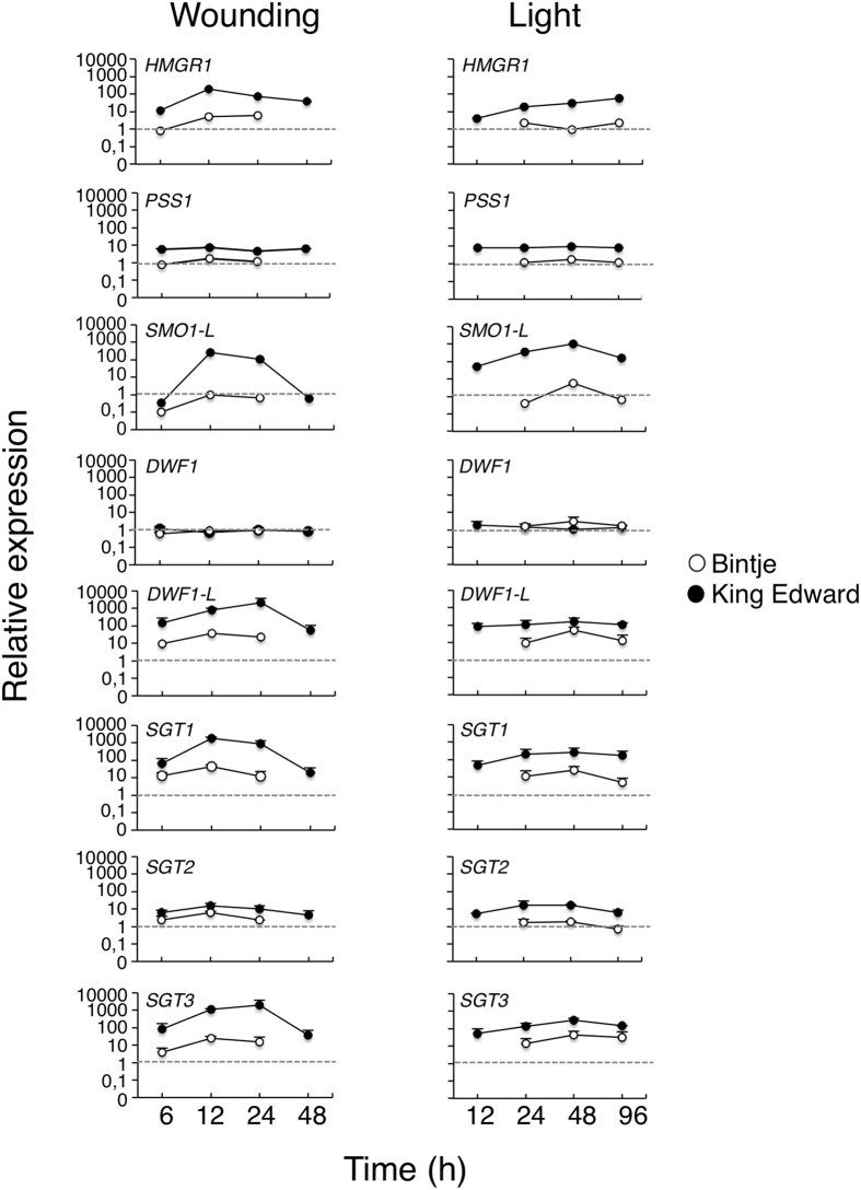 Figure 5