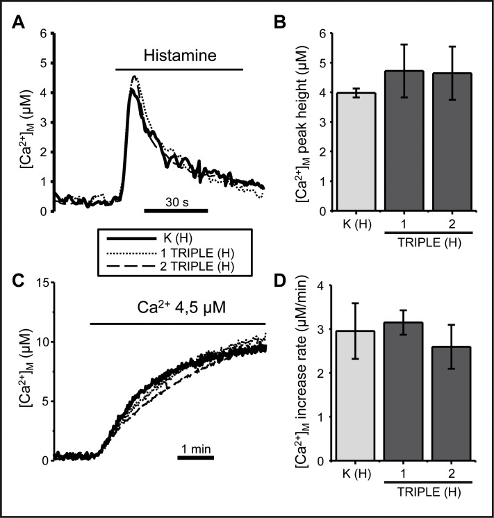 Fig 4