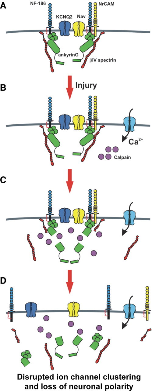 Figure 10.