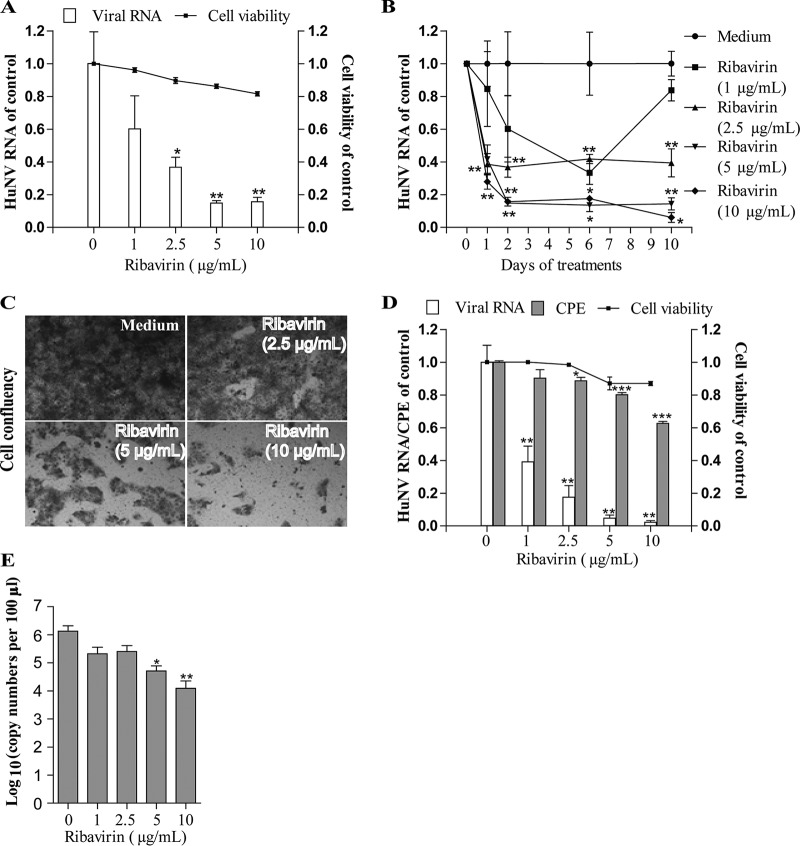 FIG 6