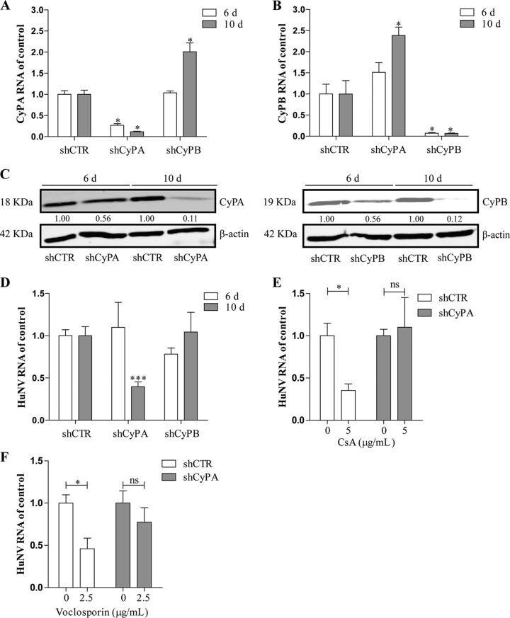 FIG 2