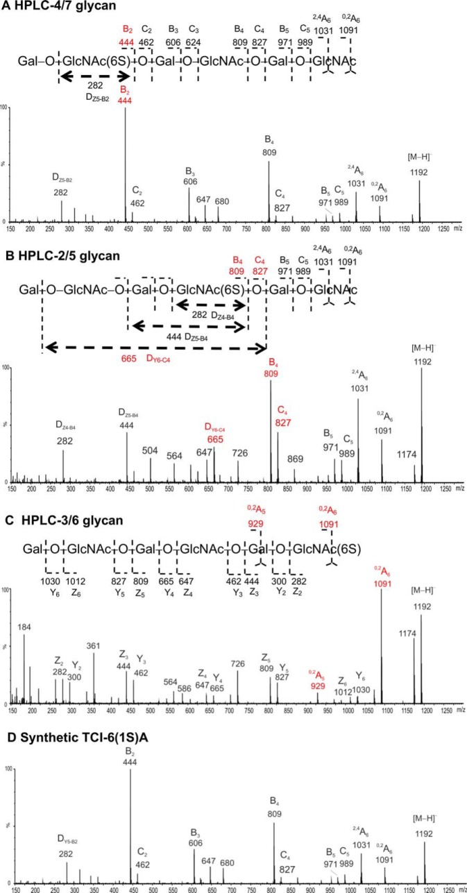 Fig. 8.