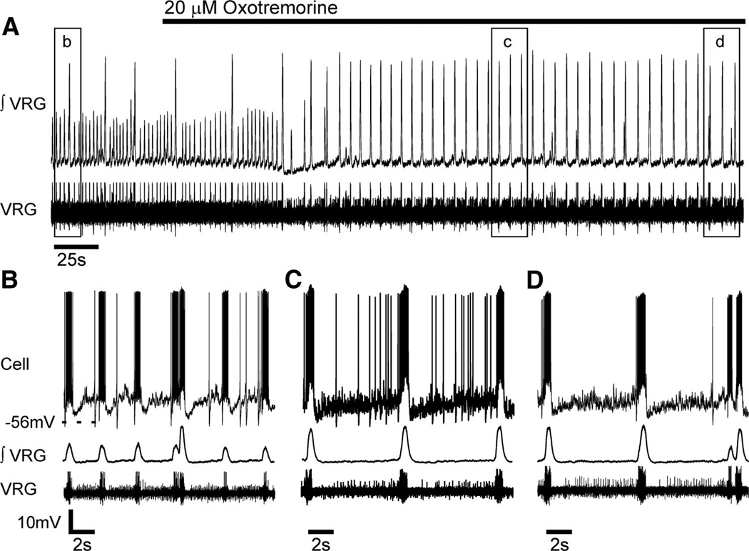 FIG. 3