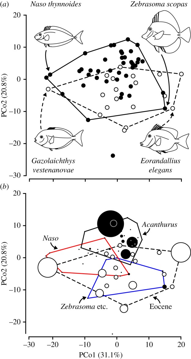 Figure 2.