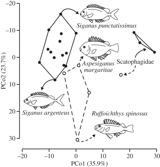 Figure 3.