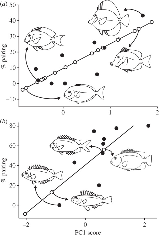 Figure 4.