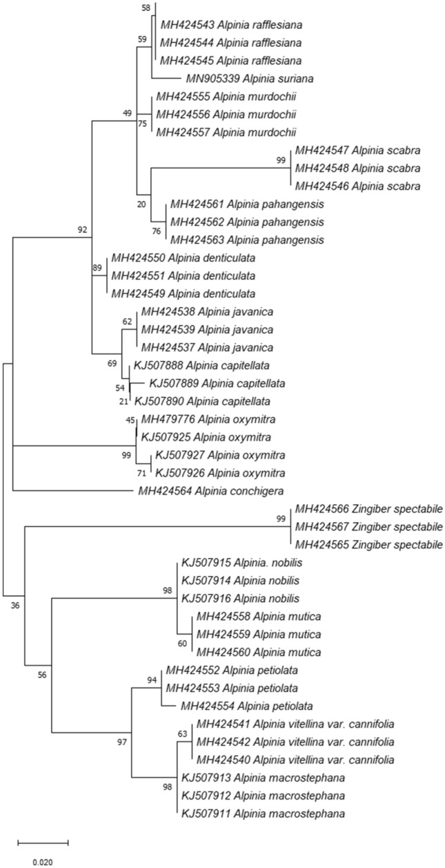 Fig. 2