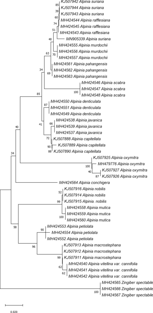 Fig. 3