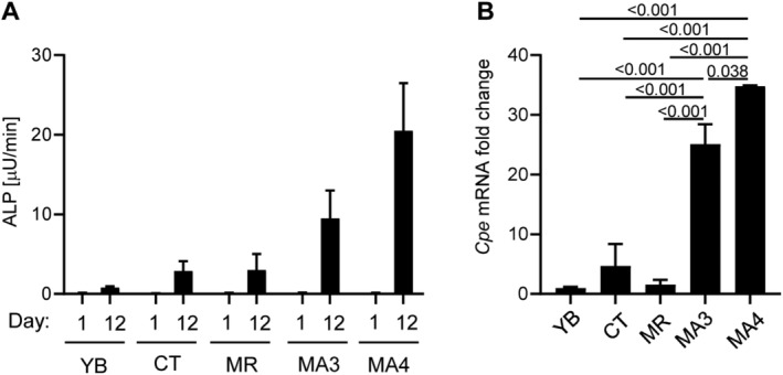 Fig 5