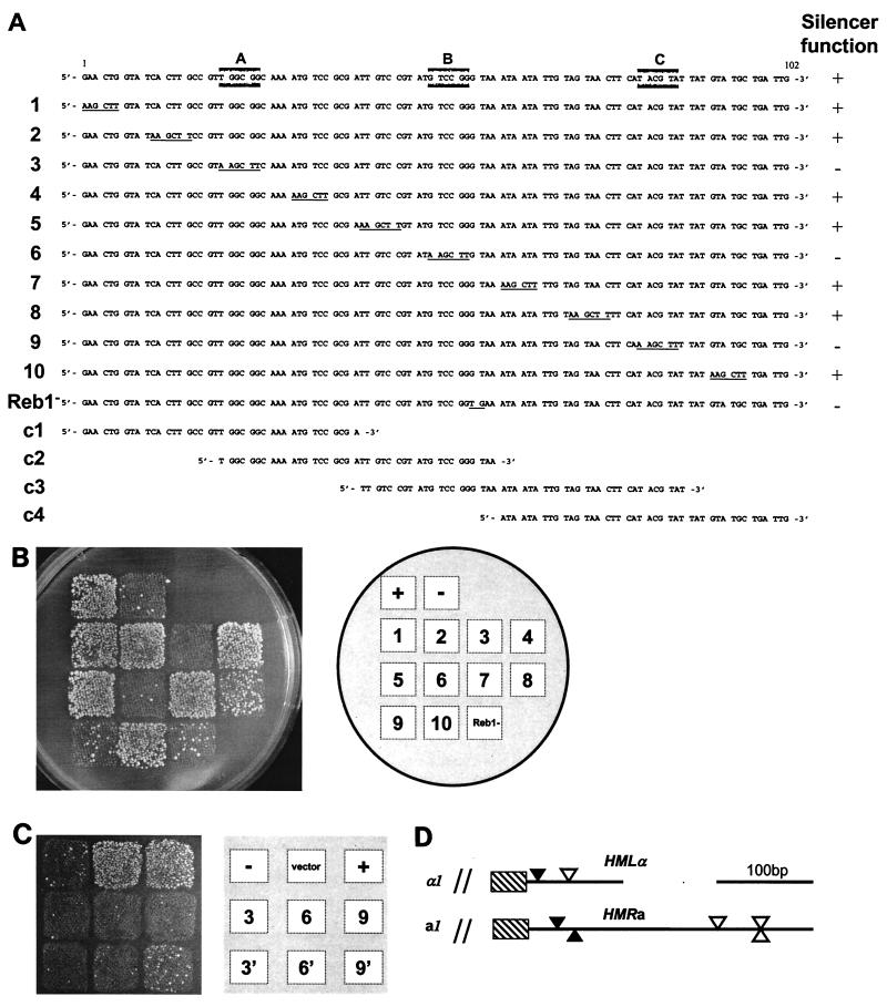 FIG. 1.