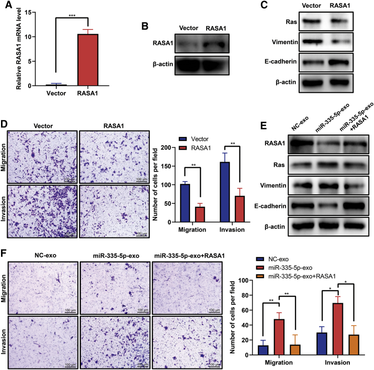 Figure 6