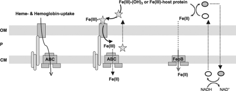 Fig. 5.