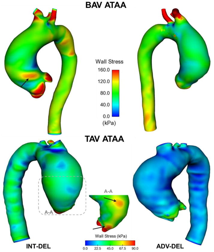 Fig 5