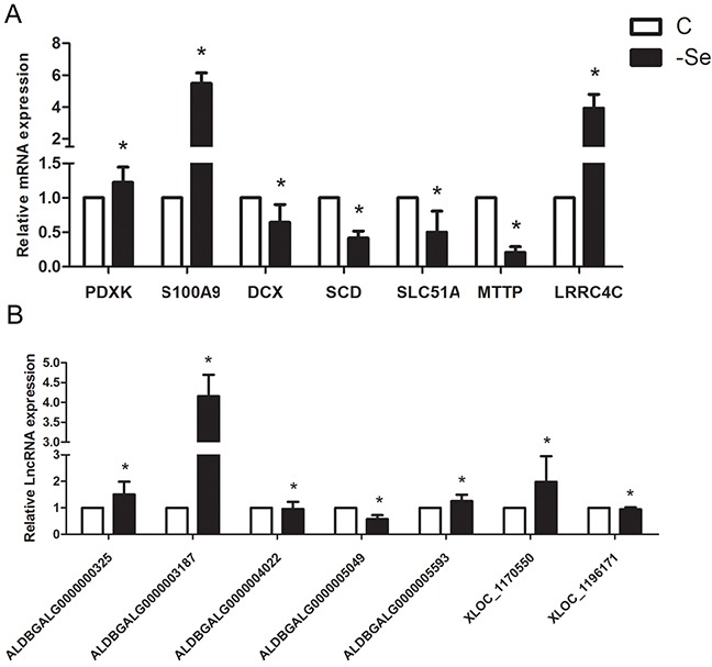 Figure 6