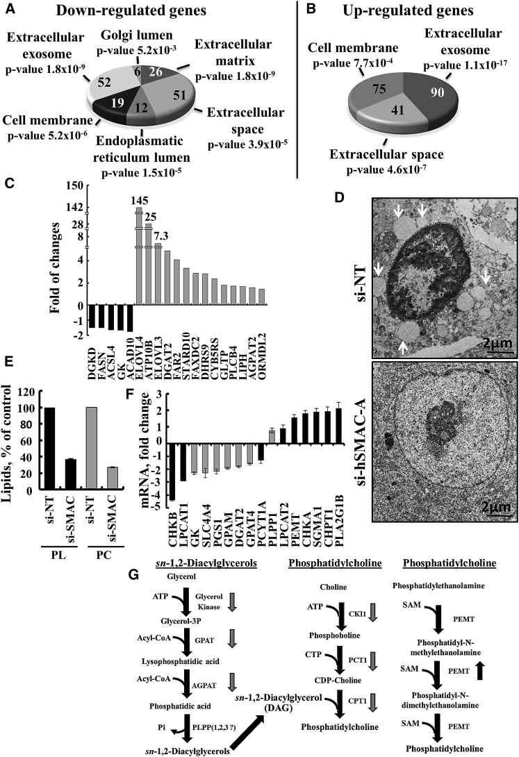 Figure 7