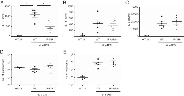 FIG 6