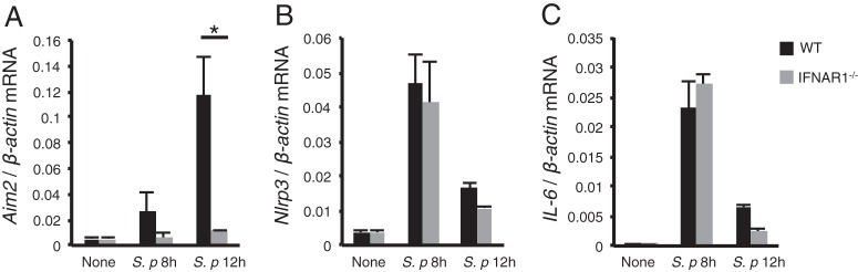 FIG 5